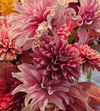 Bucket of dahlia blooms/Dahlia Bloom Bar