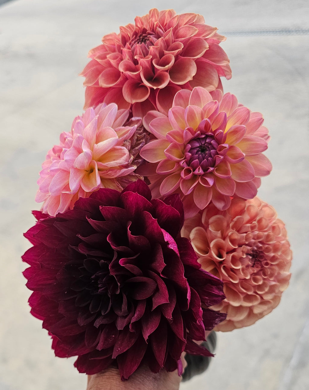 Fresh cut bouquet Subcription