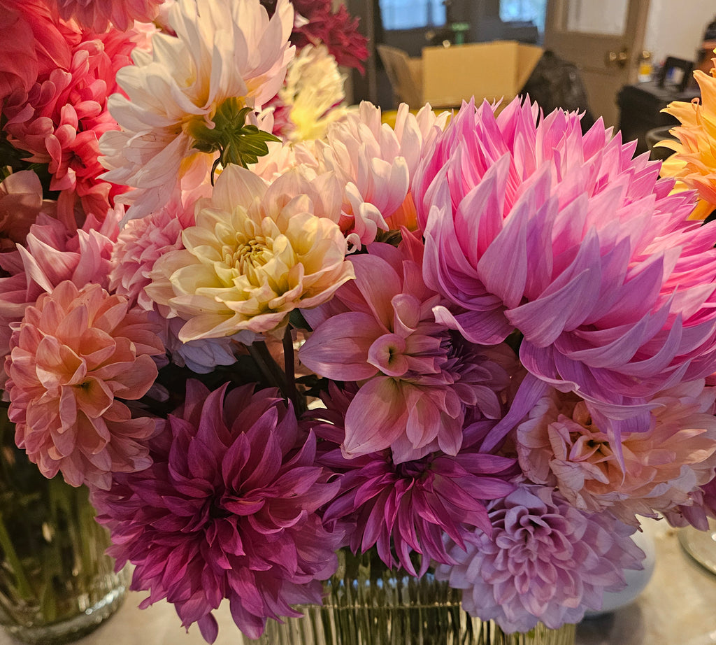 Fresh cut bouquet Subcription