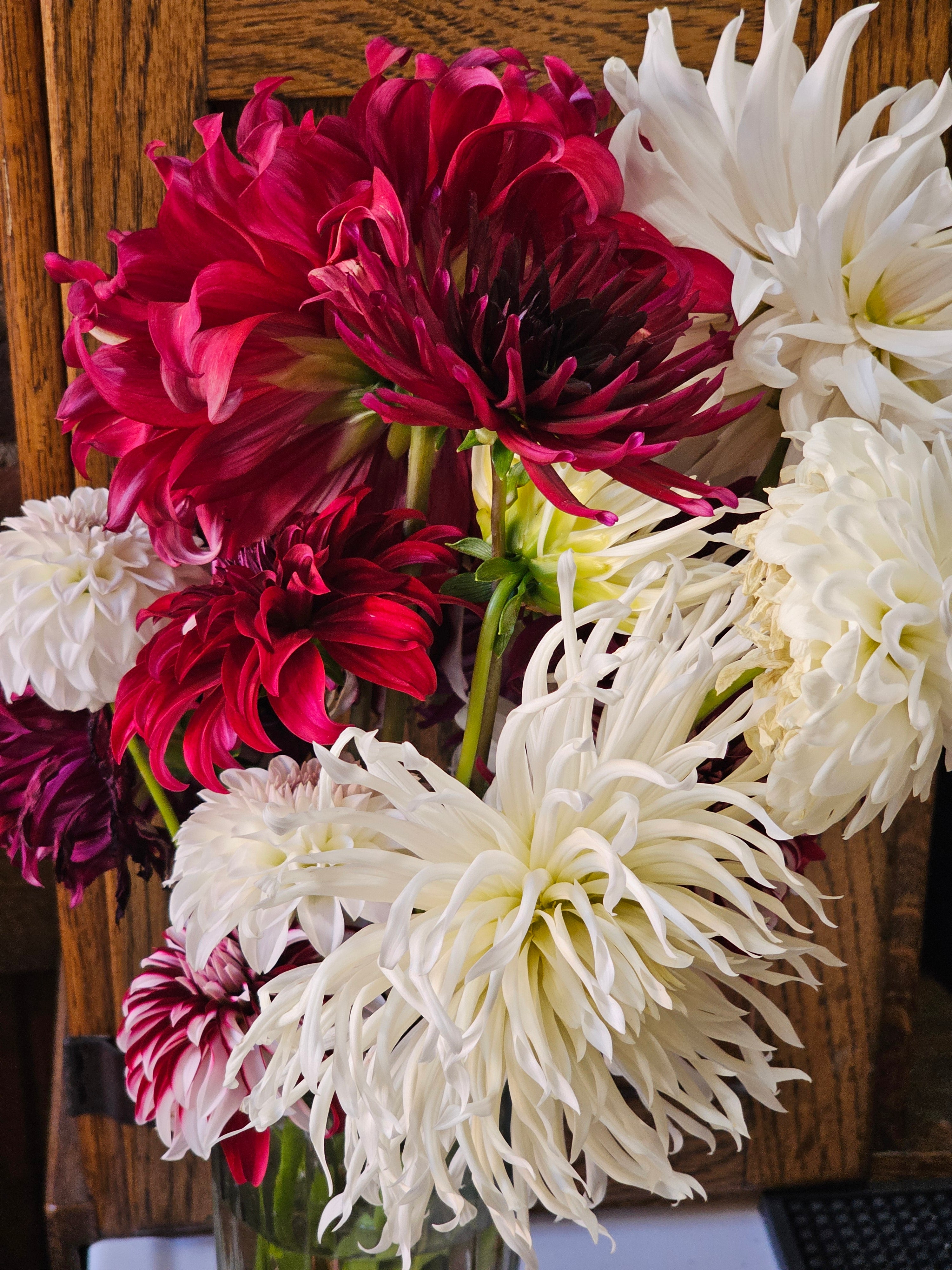 Bucket of dahlia blooms/Dahlia Bloom Bar