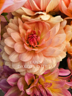 Fawn~Growing for tuber sales for 2027~