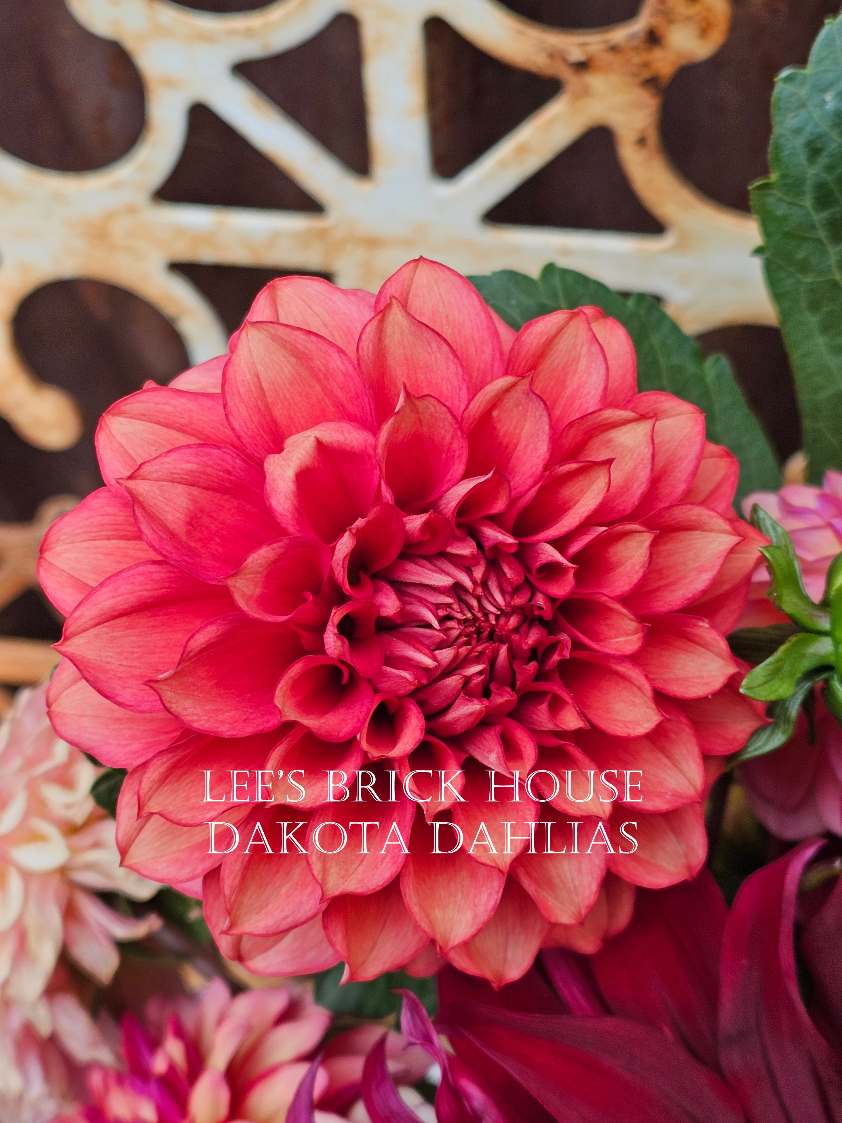 Lee's Brick House