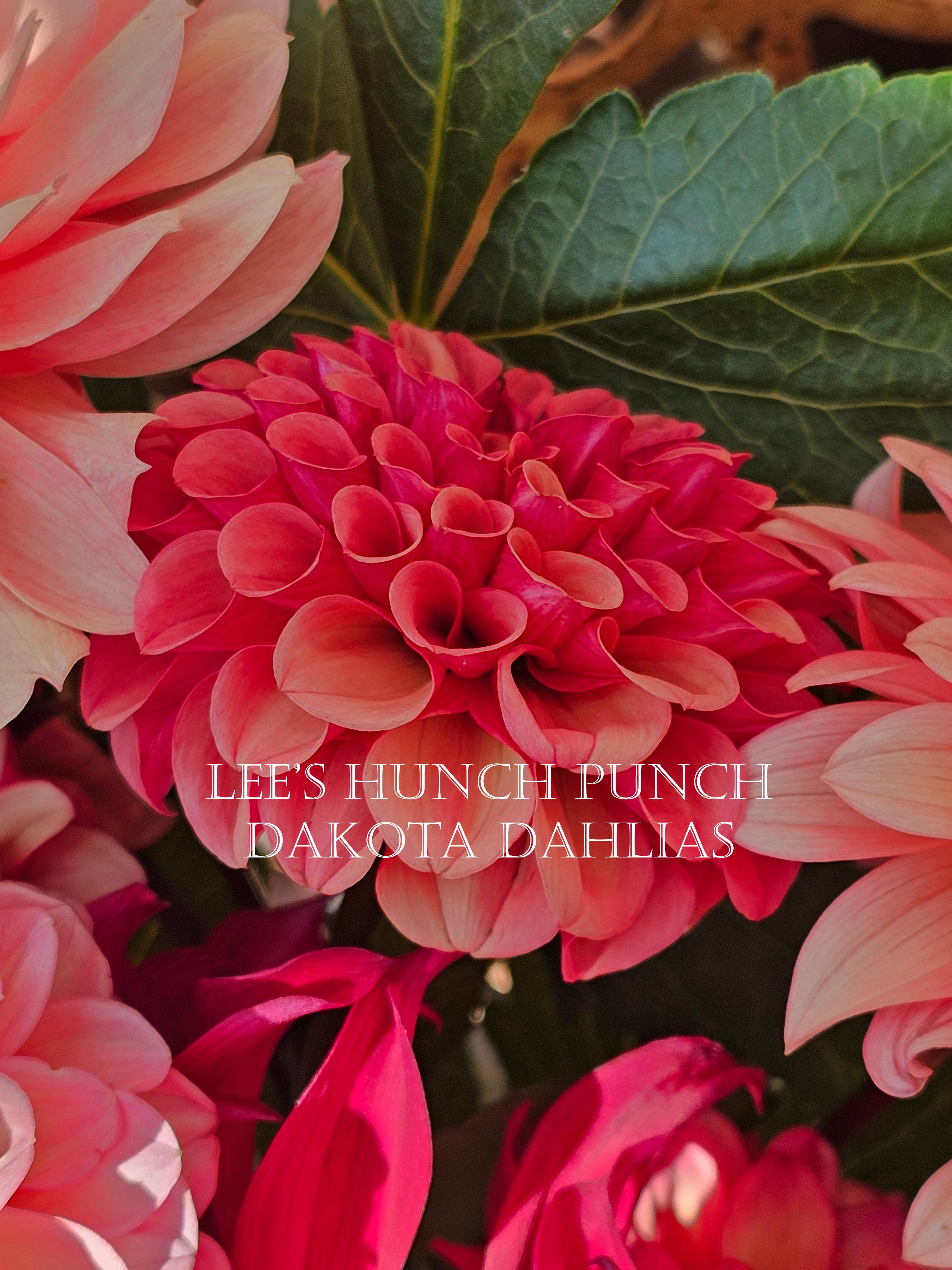 Lee's Hunch Punch