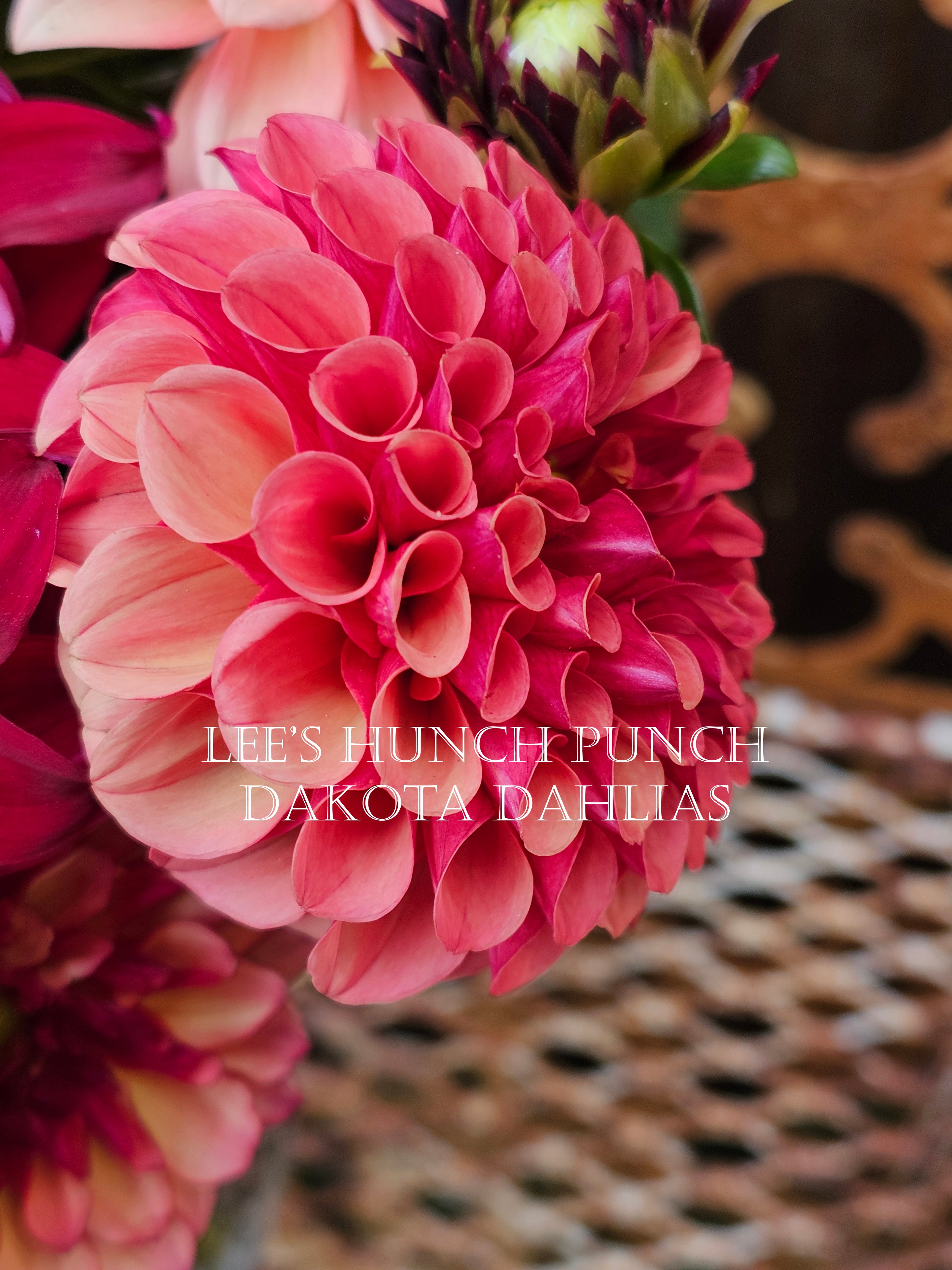 Lee's Hunch Punch