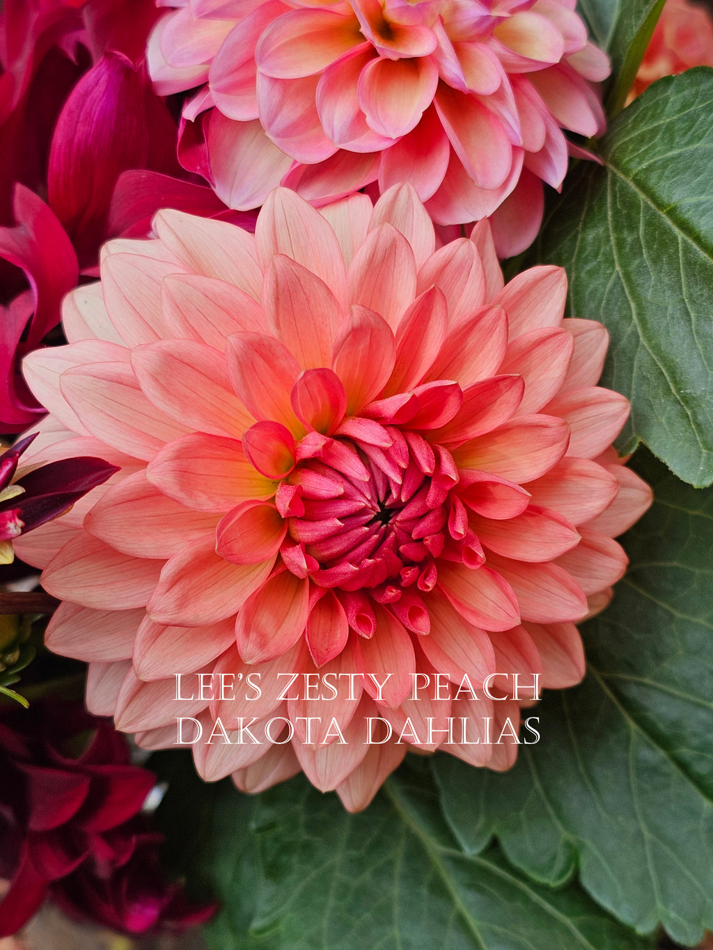 Lee's Zesty Peach