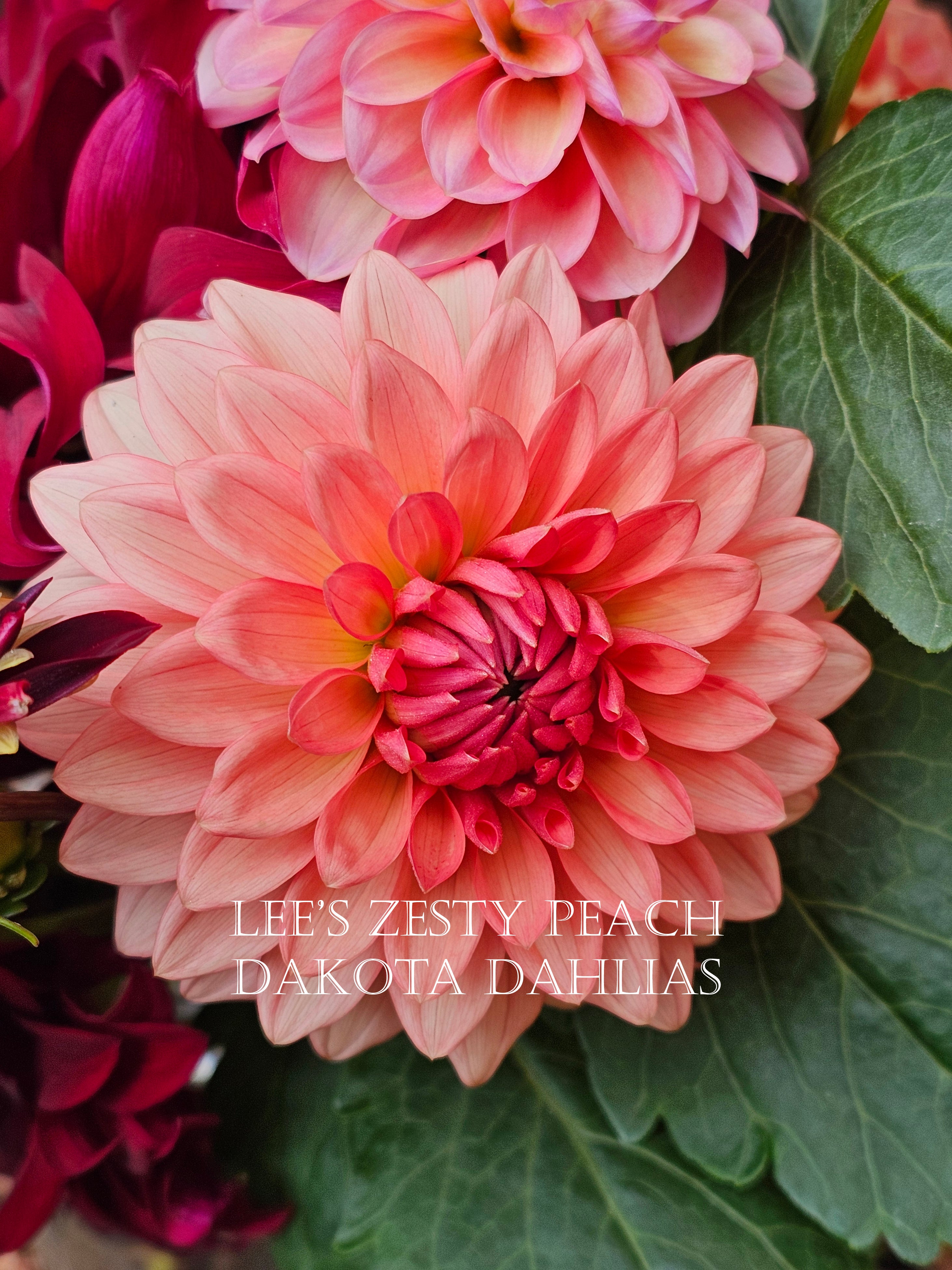 Lee's Zesty Peach