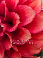 Lee's Brick House