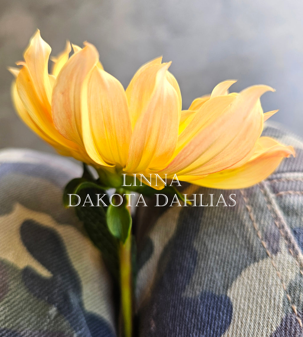 Linna