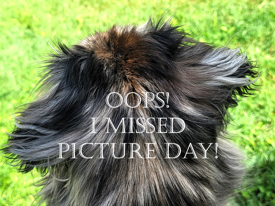 Le Thoureil~Growing for tuber sales for 2027