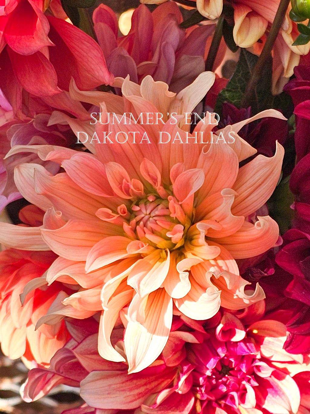 Summer's End