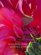 Wyoming Wedding
