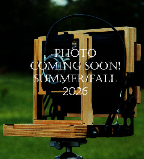 Bracken Glenda~Growing for tuber sales for 2027~